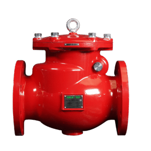 Swing Check Valve