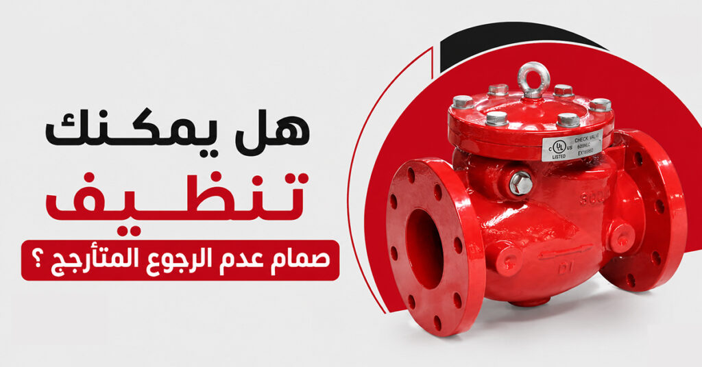 هل يمكنك تنظيف صمام عدم الرجوع المتأرجح